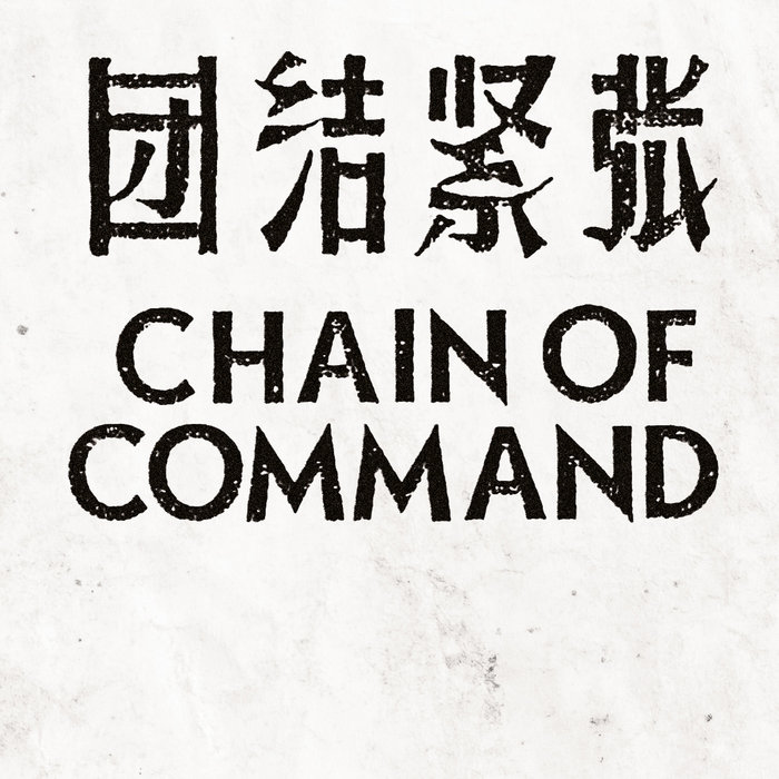 Cover artwork for Chain Of Command — Some Aspects.