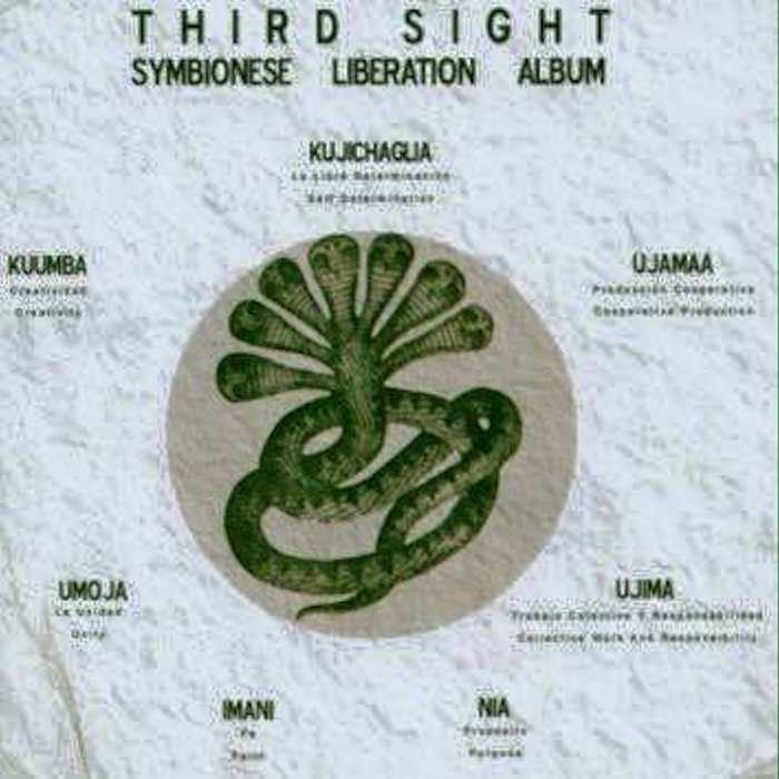 Cover artwork for Third Sight — The Symbionese Liberation Album.