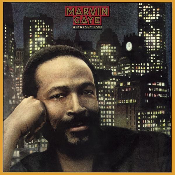 Cover artwork for Marvin Gaye — Sexual Healing.