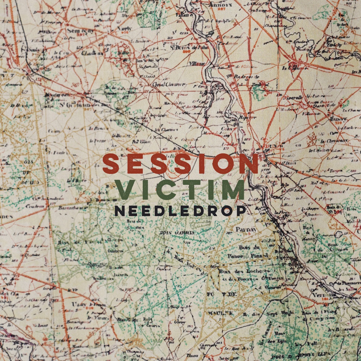 Cover artwork for Session Victim — Needledrop.