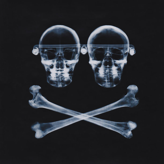 Cover artwork for Orbital — The Altogether.