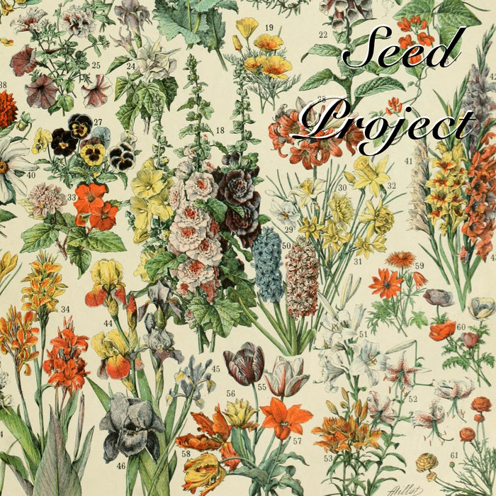 Cover artwork for Seed Project — Seed Project.