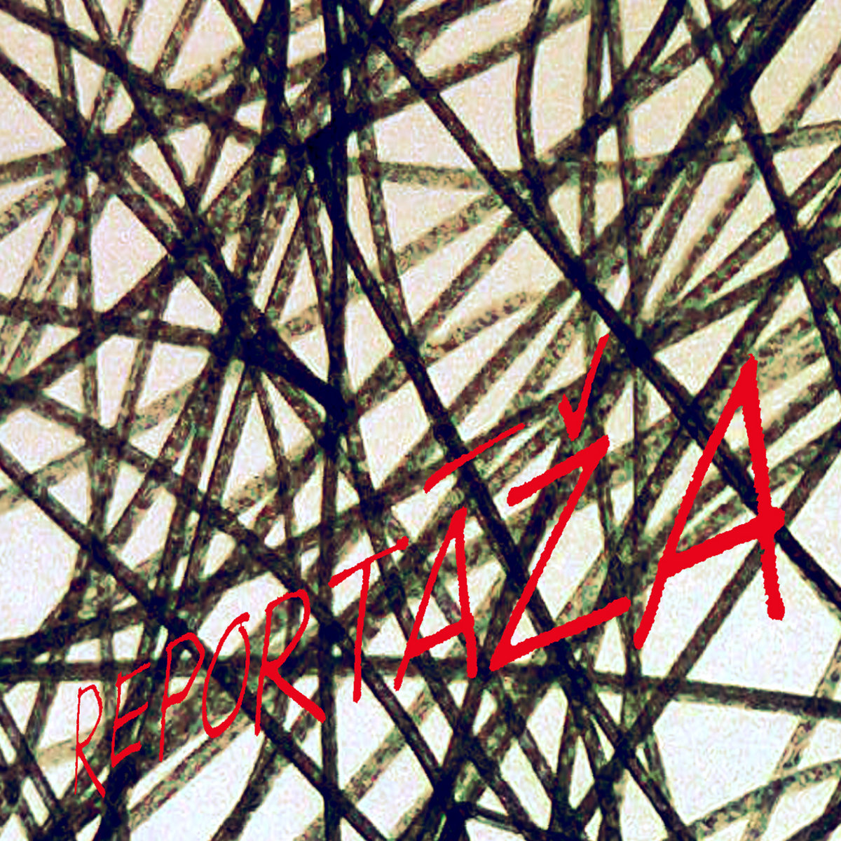 Cover artwork for Ingus Baušķenieks — Reportāža.