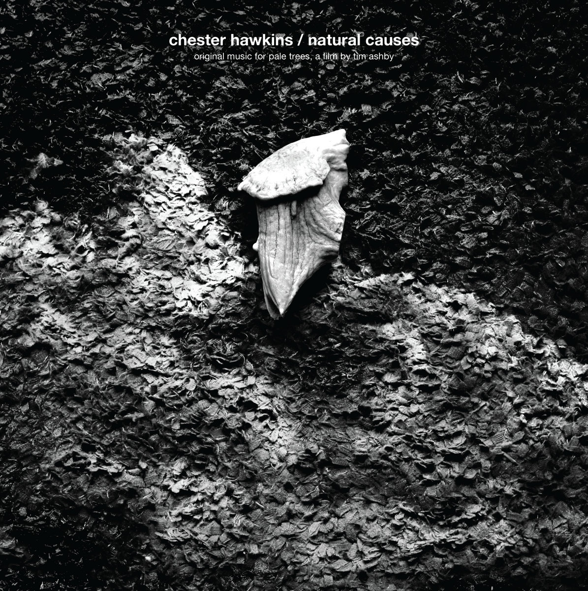 Cover artwork for Chester Hawkins — Natural Causes.