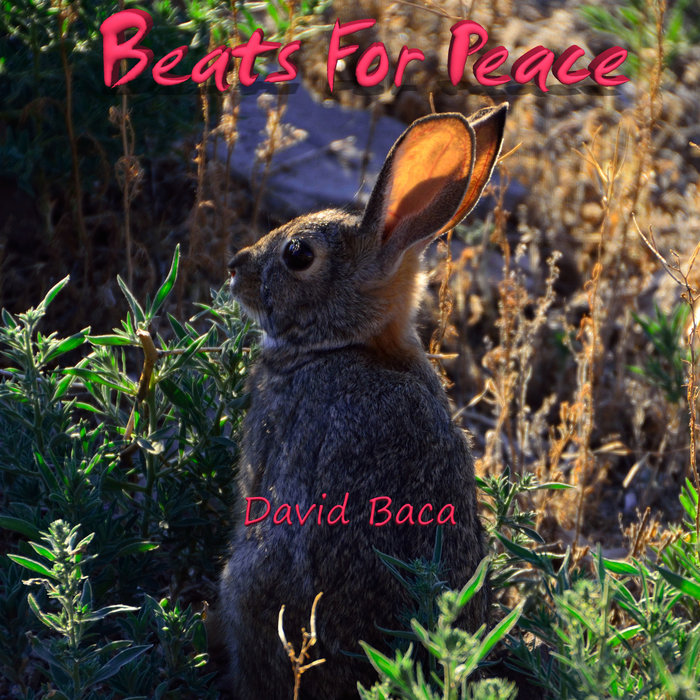 Cover artwork for David Baca — Beats for Peace.