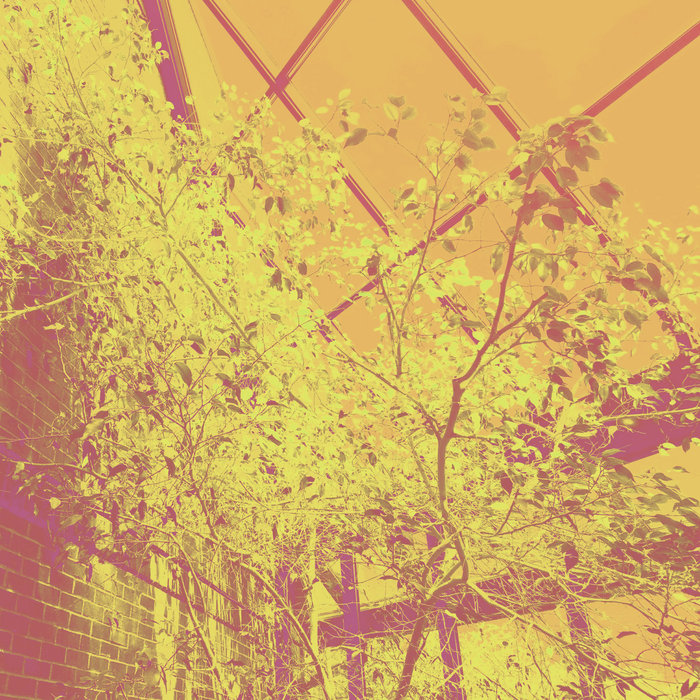 Cover artwork for Coppice Halifax / Brian Grainger — “Stylo Dub”.
