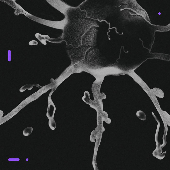 Cover artwork for BLED / Sławek Koryzno — Terra Incognita.